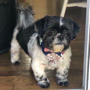 Meet your Posher, Liandra